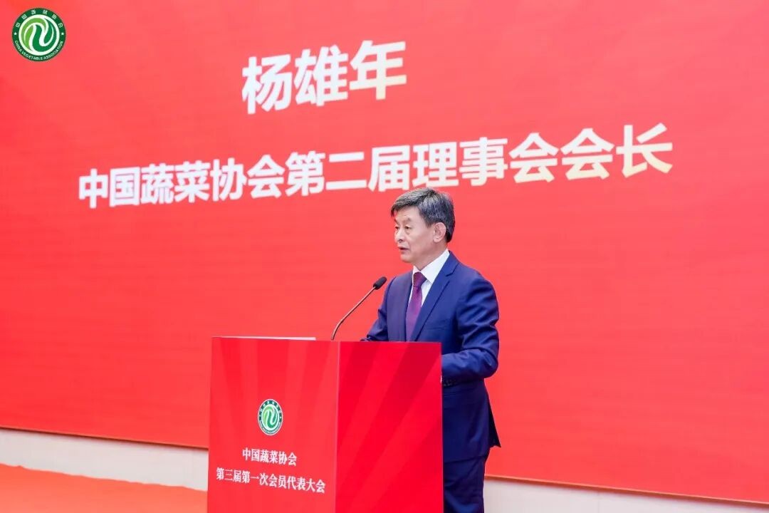 1773646679198144.jpg 8.jpg